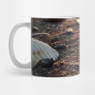 Beach shells on Sand Mug